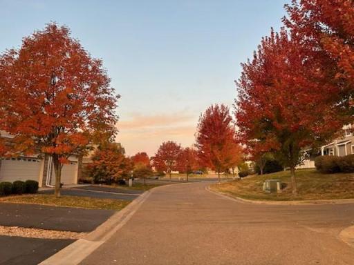 1805 Freedom Lane, Chanhassen, MN 55317