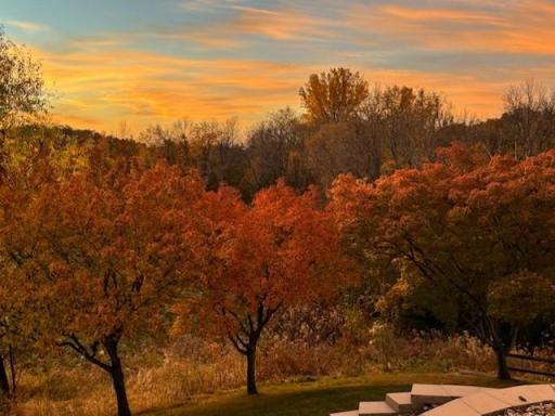 1805 Freedom Lane, Chanhassen, MN 55317