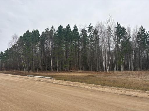 XXXX Stanton Drive, Baudette, MN 56623