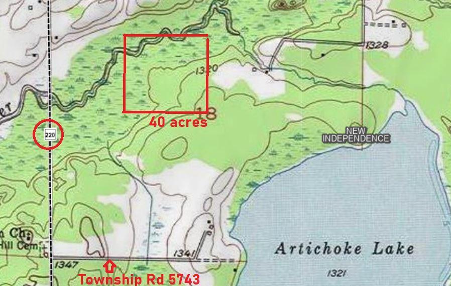 40 ac Alborn Topography Map.JPG