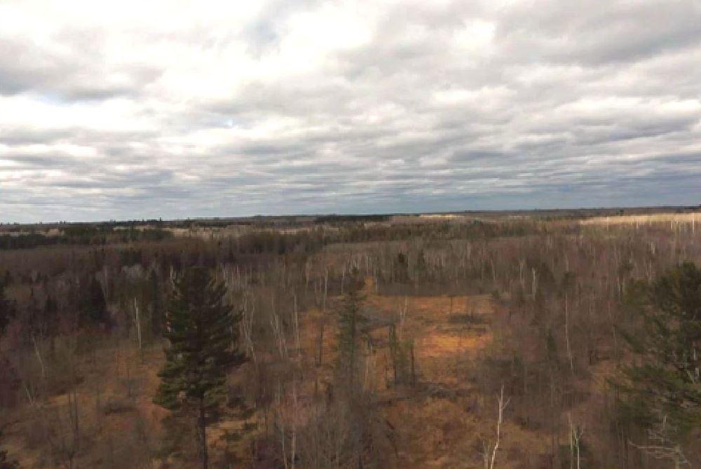 40 ac Alborn DRONE