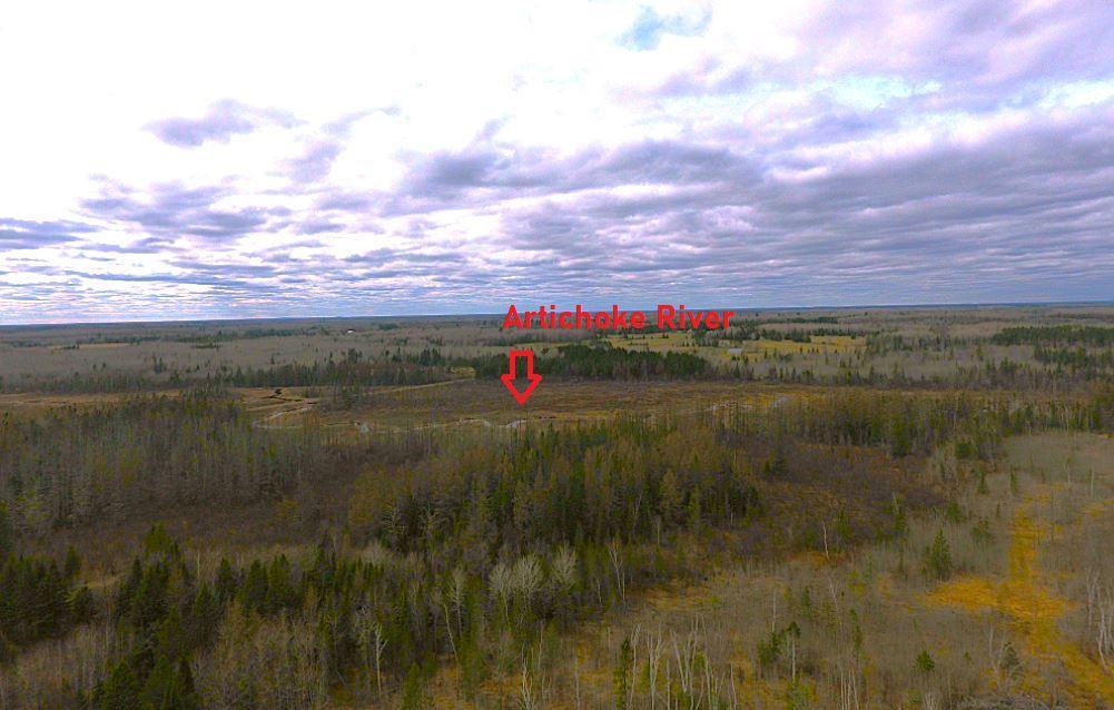 DRONE pic of Artichoke River