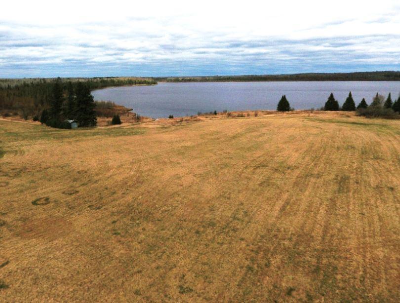 DRONE of Artichoke Lake