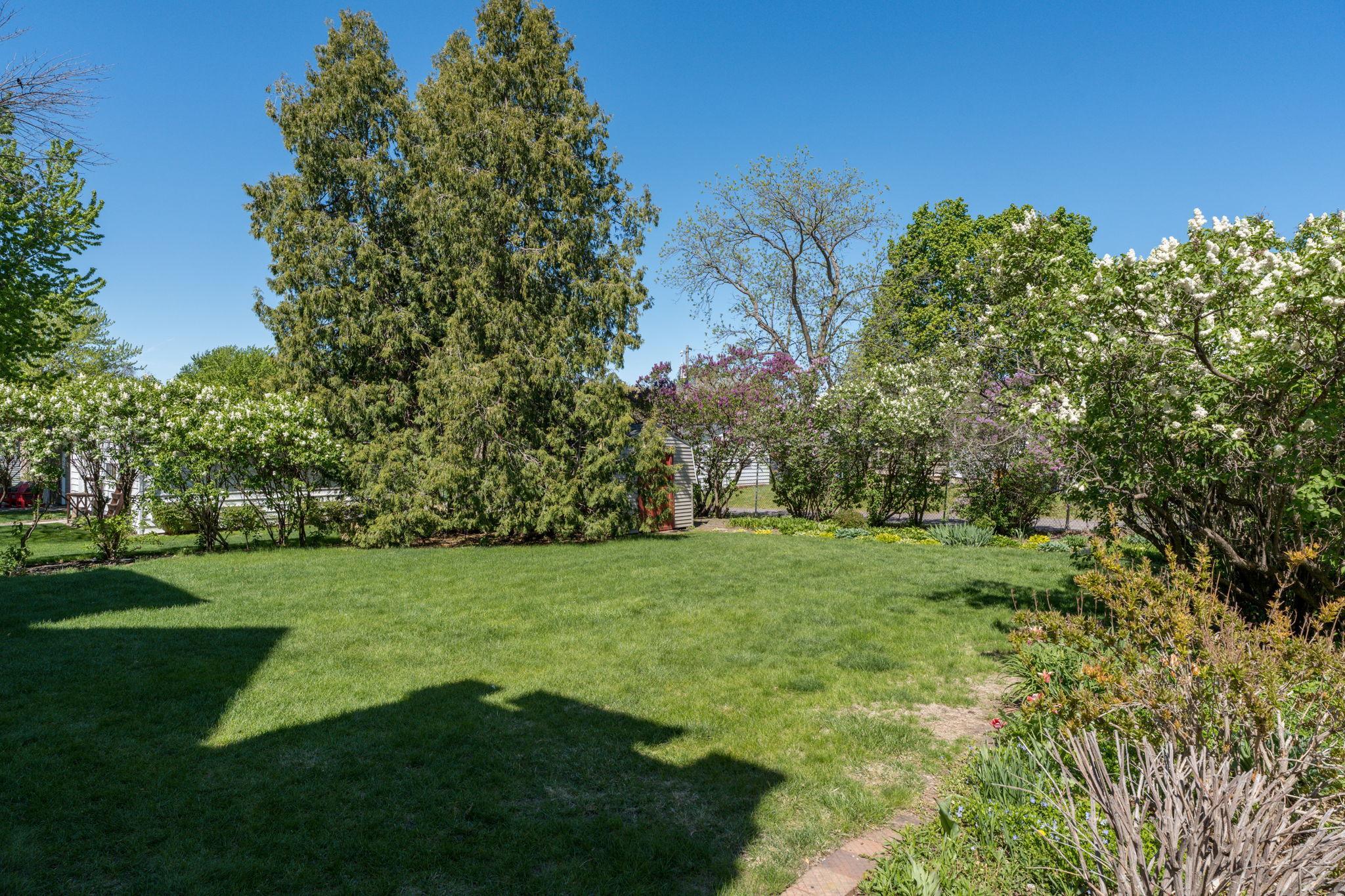 Beautiful lawn space