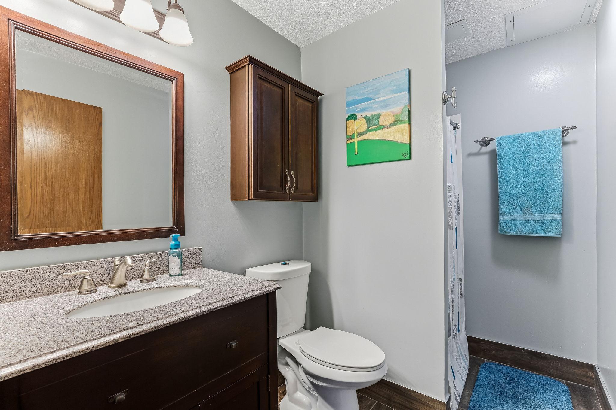 Lower level 3/4 bath