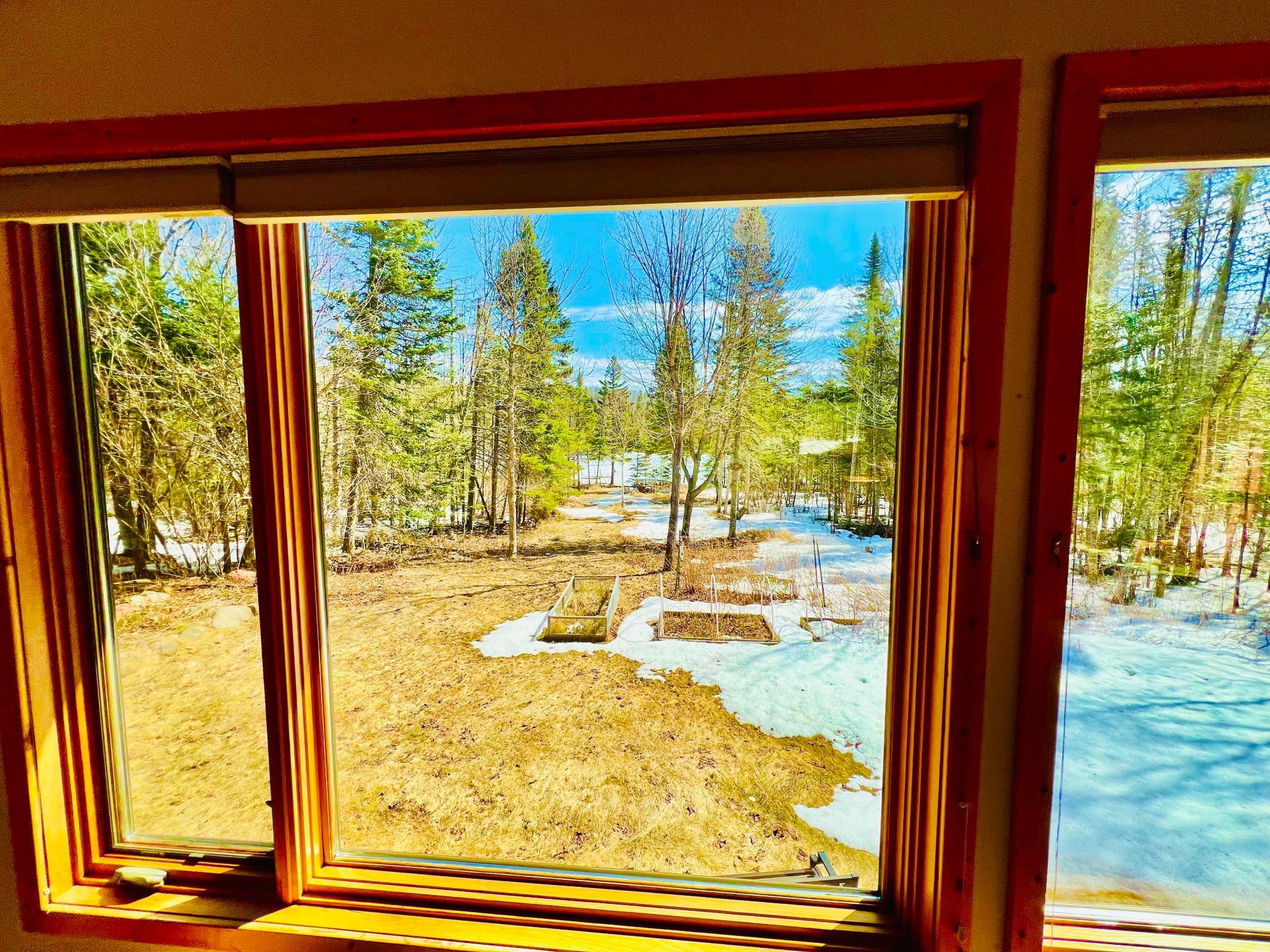 Lake View from Great Area.jpg