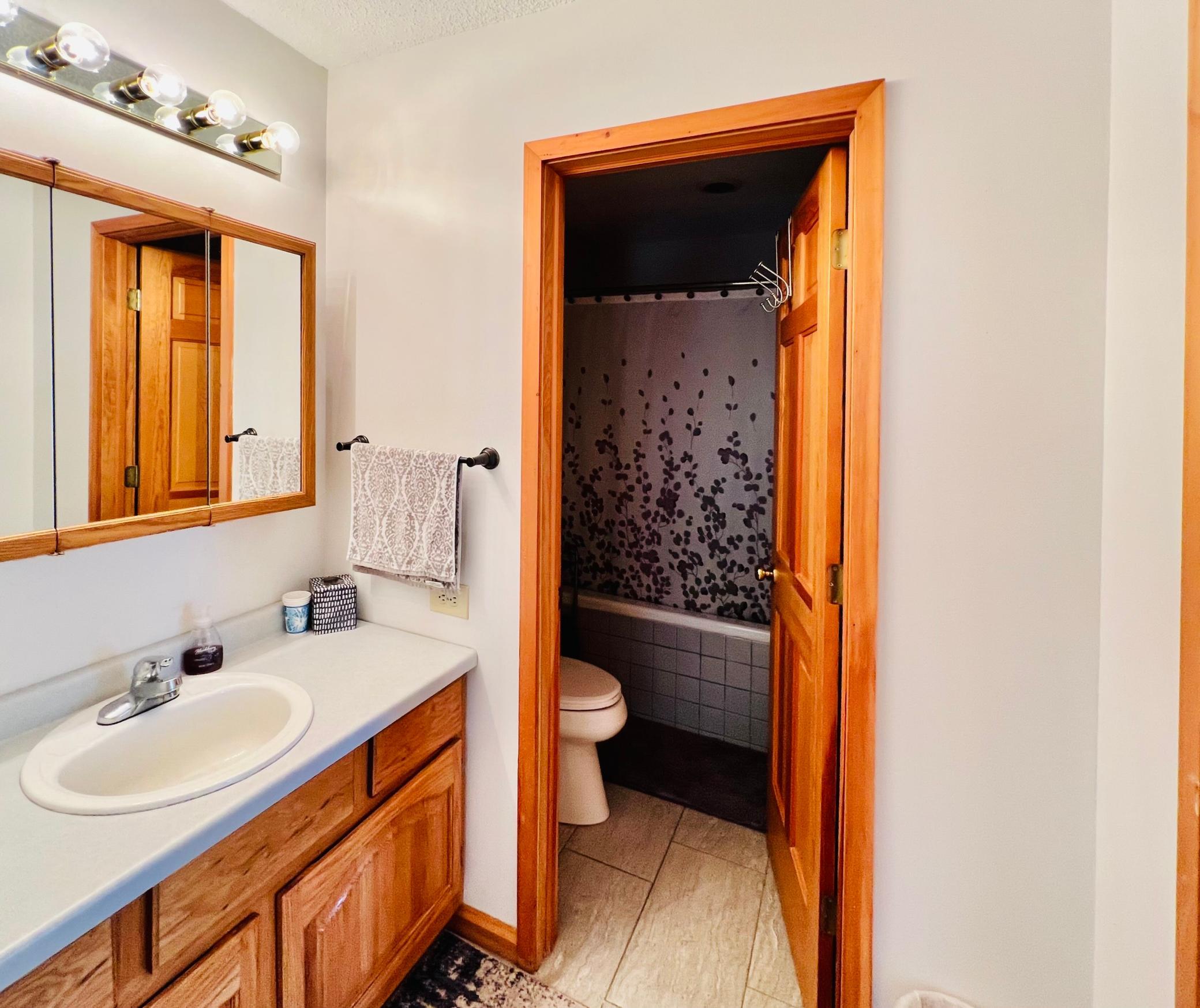 Primary Bathroom 2.jpeg