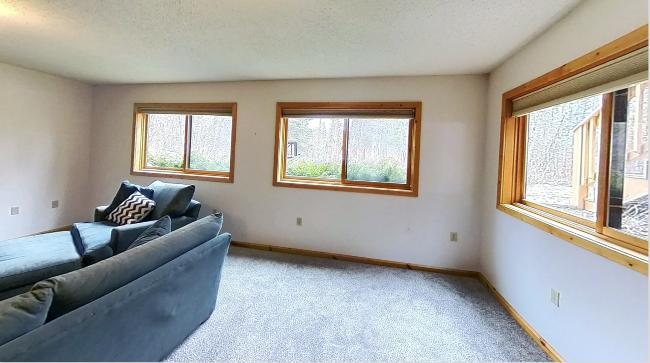 Natural Light Lower Level.png
