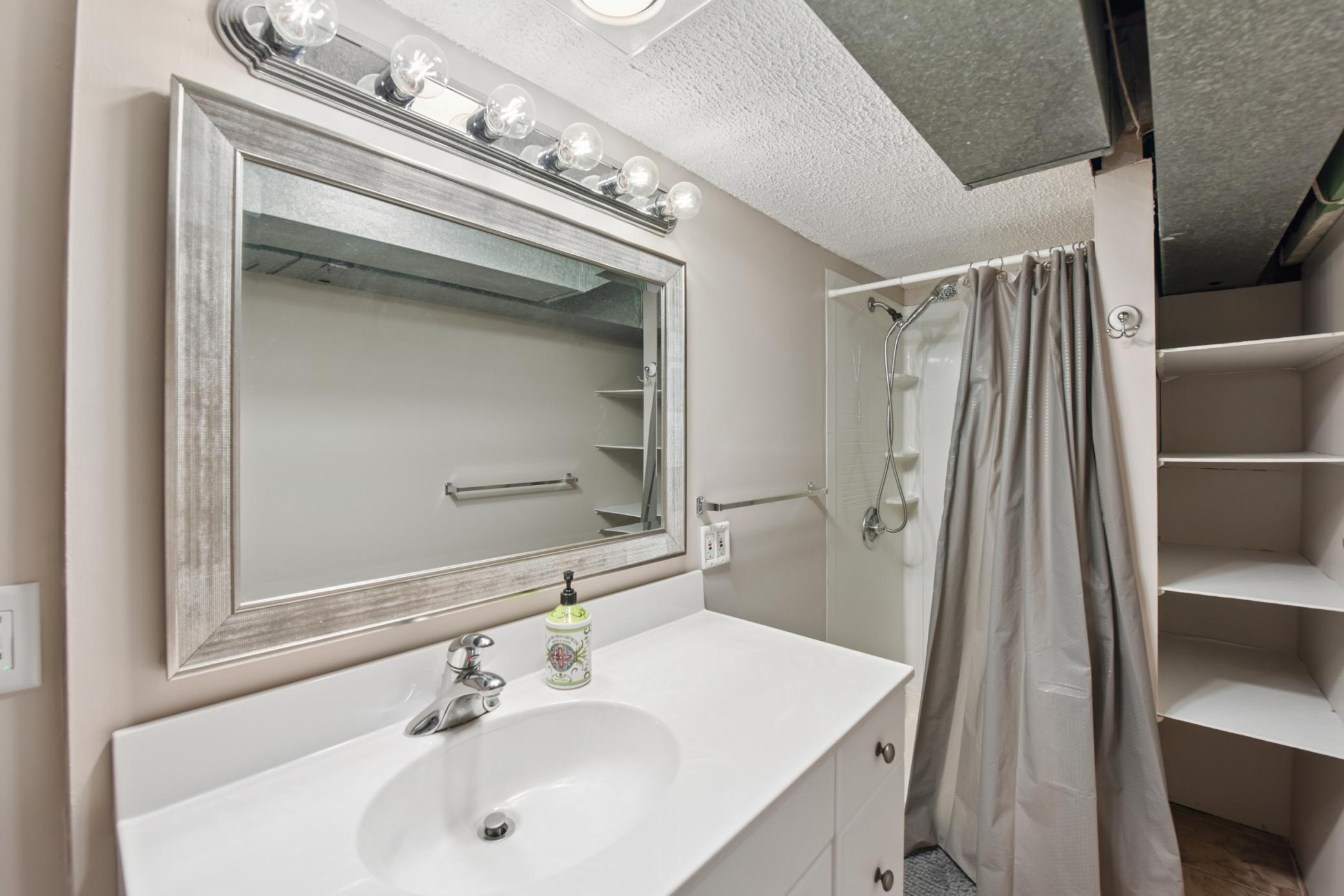 Lower Level Bathroom