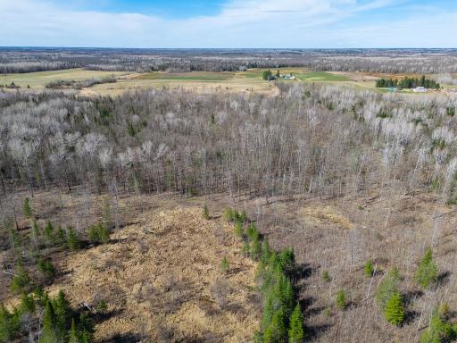 TBD County 63, Boy River, MN 56672