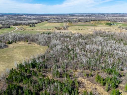 TBD County 63, Boy River, MN 56672
