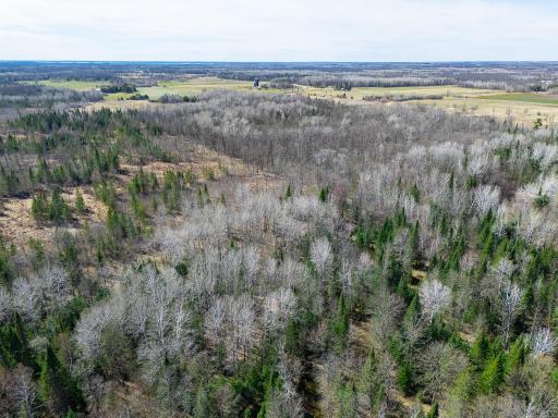 TBD County 63, Boy River, MN 56672