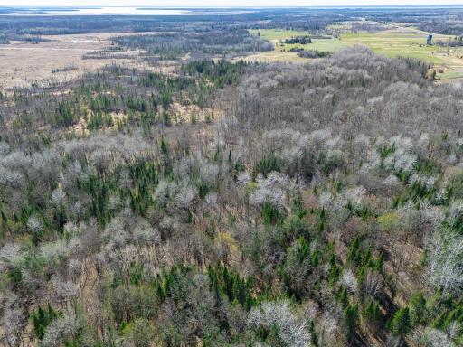 TBD County 63, Boy River, MN 56672