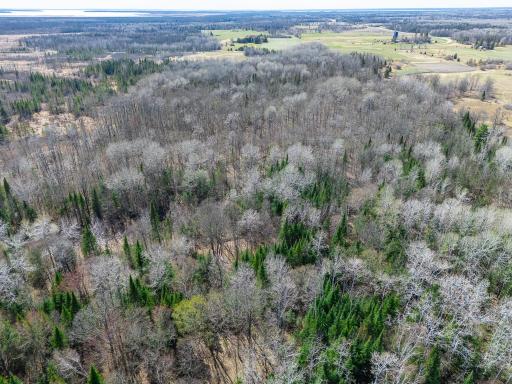 TBD County 63, Boy River, MN 56672