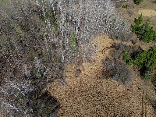 TBD County 63, Boy River, MN 56672