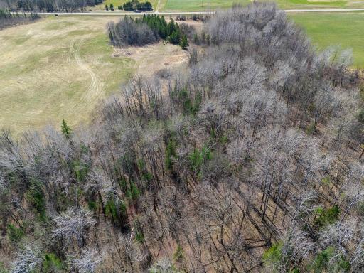 TBD County 63, Boy River, MN 56672