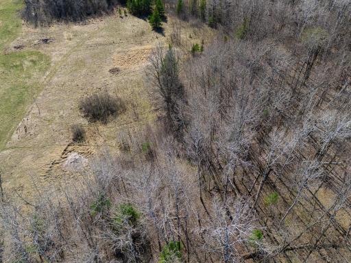 TBD County 63, Boy River, MN 56672