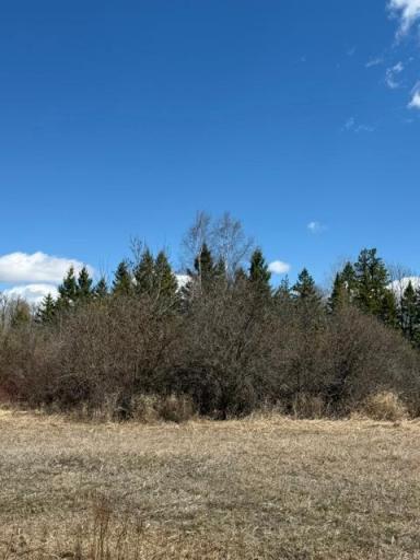 TBD County 63, Boy River, MN 56672