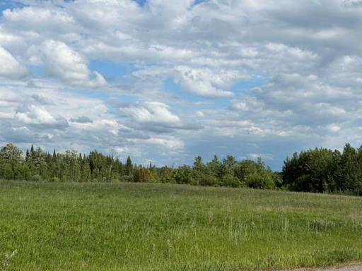 TBD County 63, Boy River, MN 56672