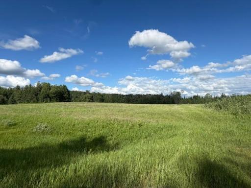 TBD County 63, Boy River, MN 56672