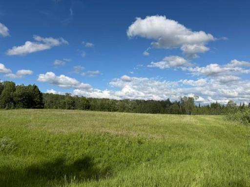 TBD County 63, Boy River, MN 56672