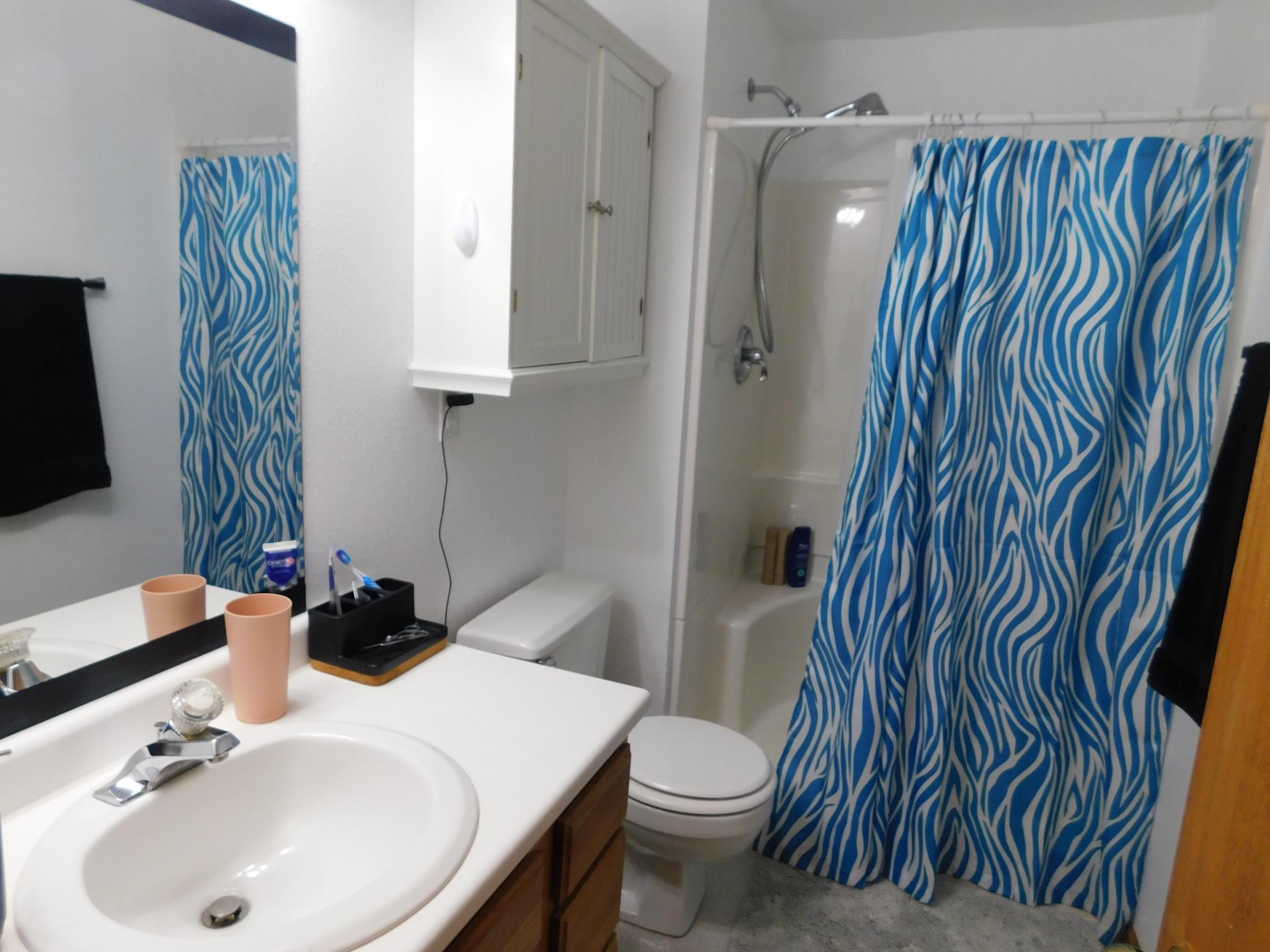 basement bathroom