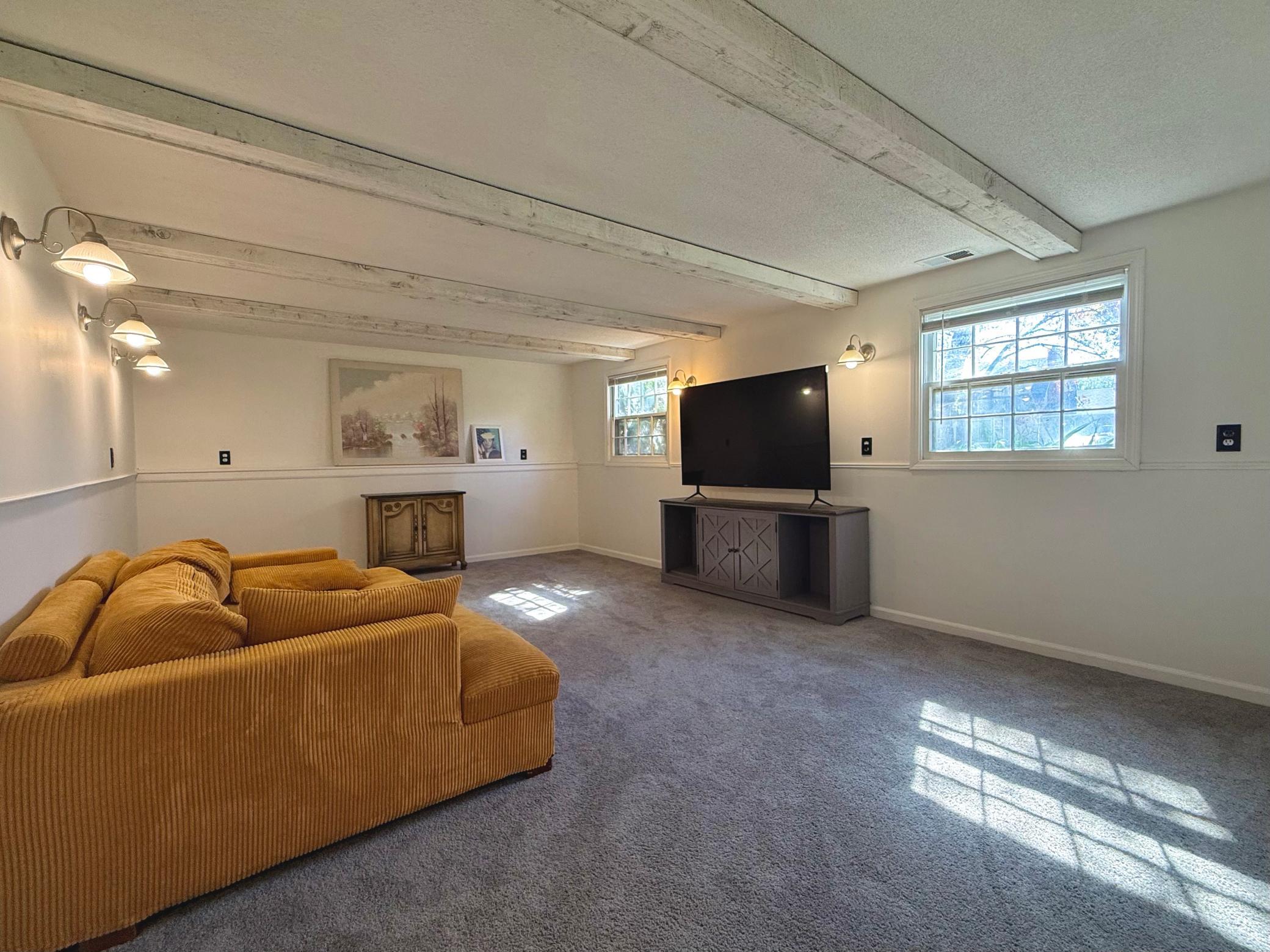 Basement Livingroom.JPEG