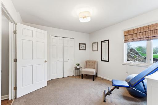 Second lower-level bedroom showcases a clean, modern aesthetic with ample room for relaxation or multi-purpose use.