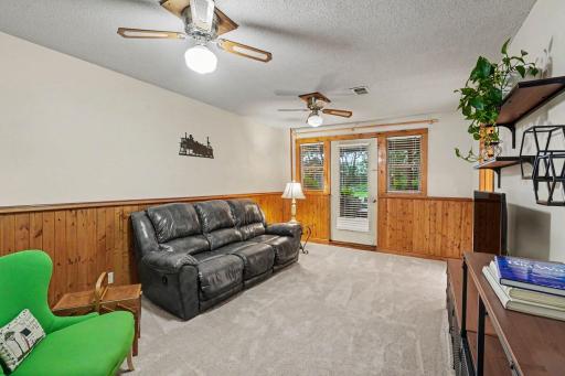 Lower Level Family Room with walk-out to the backyard.