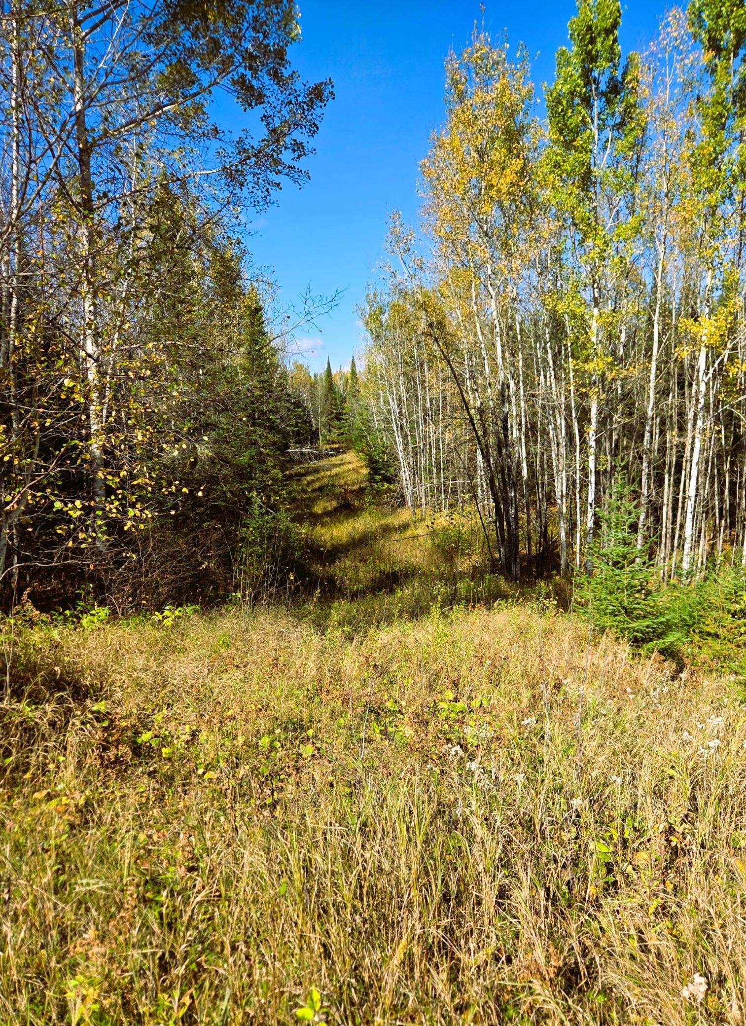 Trails