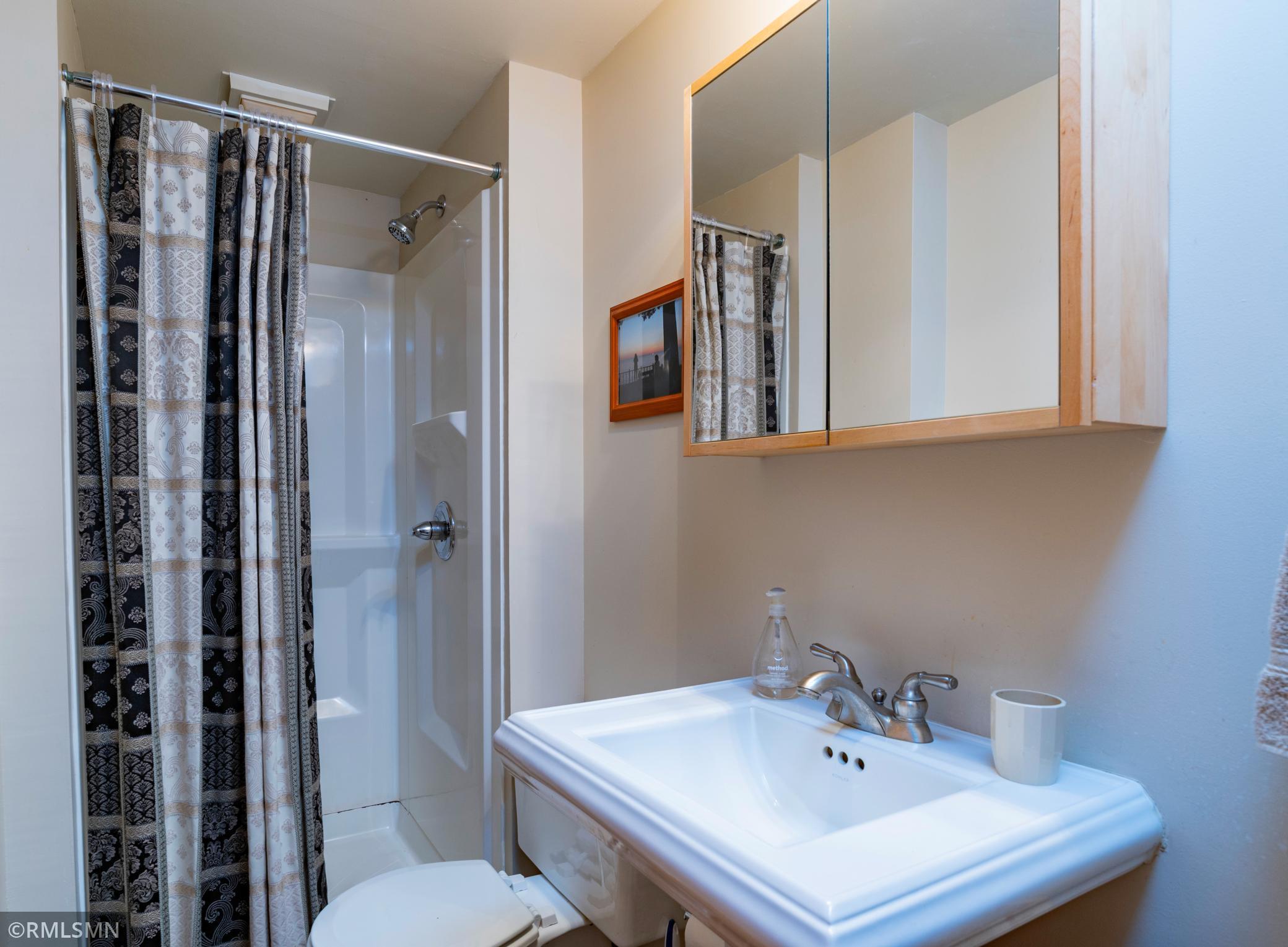 The lower level bathroom.