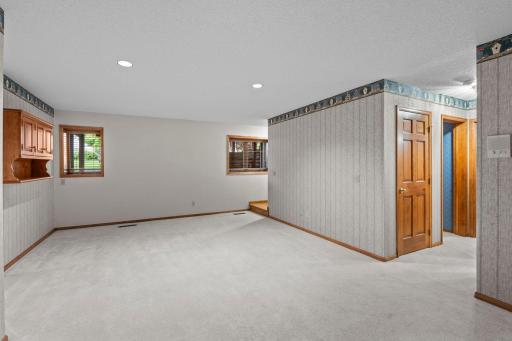 Large lower level family room with look-out windows