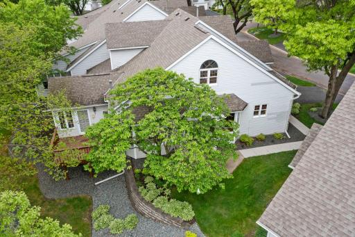 End unit provides abundent light and space to neighbors