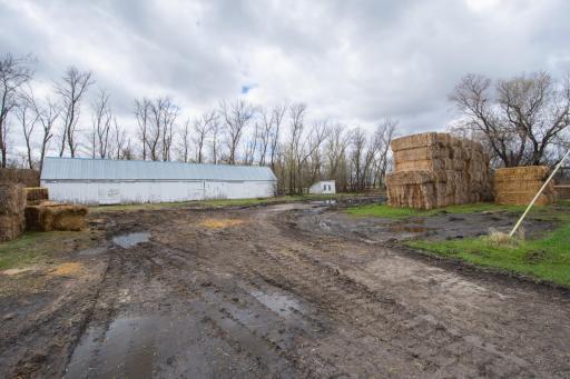 1205 310th Street, Borup, MN 56519