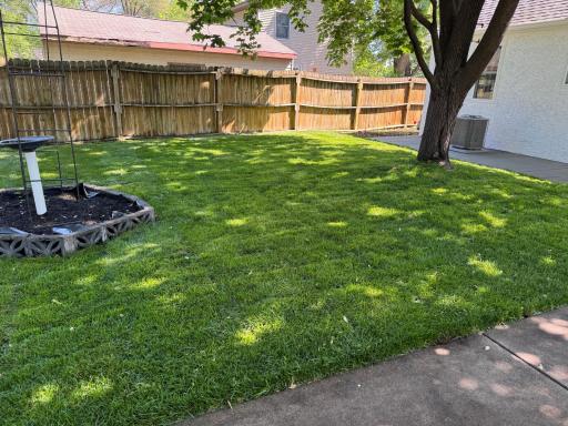 Fully fenced yard with mature trees and privacy