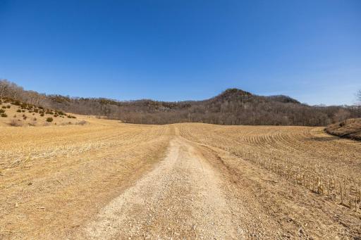 TBD Semling Lane, Fountain City, WI 54629