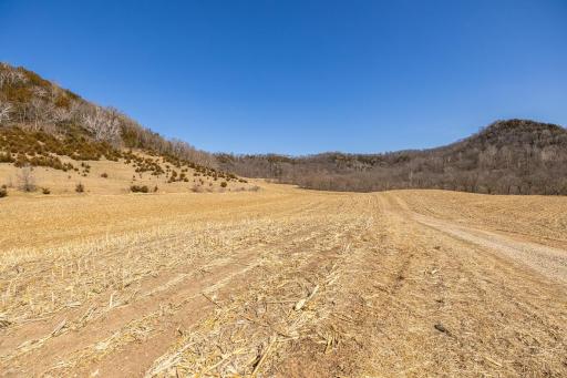 TBD Semling Lane, Fountain City, WI 54629