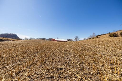 TBD Semling Lane, Fountain City, WI 54629