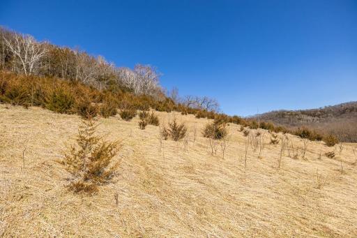 TBD Semling Lane, Fountain City, WI 54629