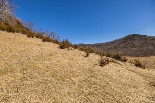TBD Semling Lane, Fountain City, WI 54629