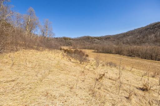 TBD Semling Lane, Fountain City, WI 54629