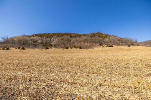 TBD Semling Lane, Fountain City, WI 54629
