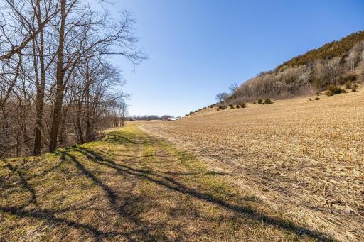 TBD Semling Lane, Fountain City, WI 54629