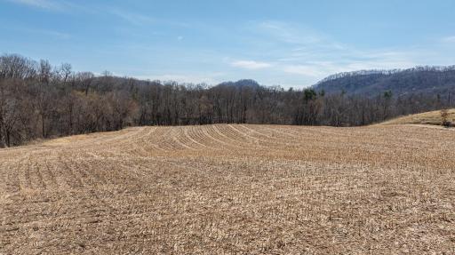TBD Semling Lane, Fountain City, WI 54629