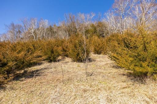 TBD Semling Lane, Fountain City, WI 54629