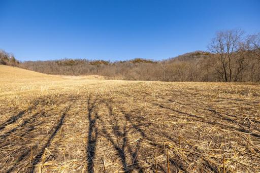 TBD Semling Lane, Fountain City, WI 54629