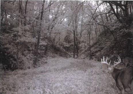 TBD Semling Lane, Fountain City, WI 54629