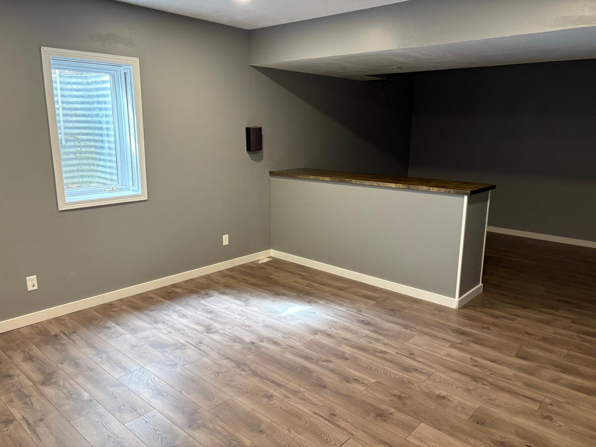 Expansive lower level family room