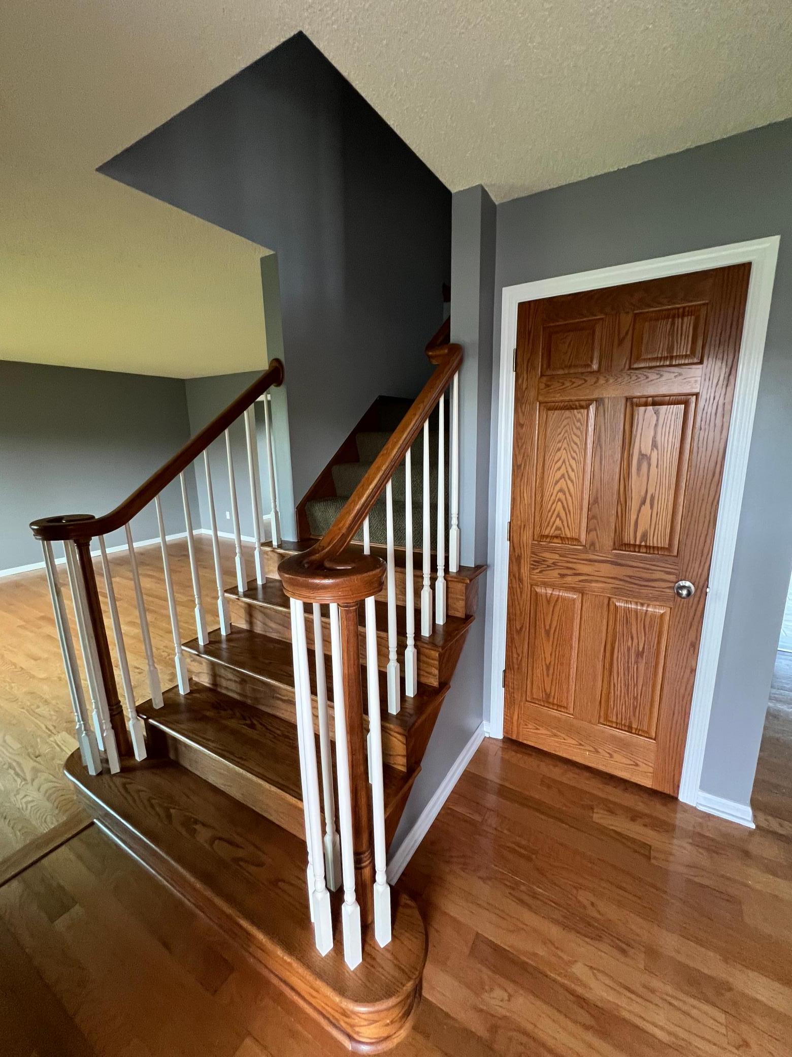 Walking thru the front door - hallway closet, bathroom on one side expansive living room on the left