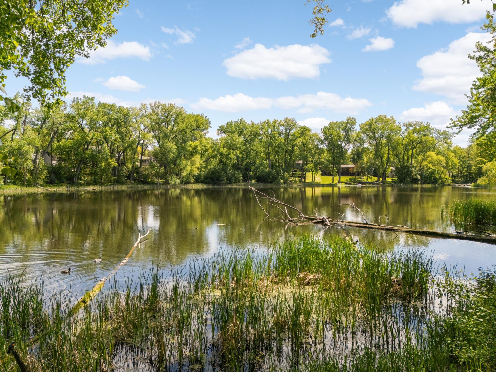 Peaceful lake side setting with year round wildlife